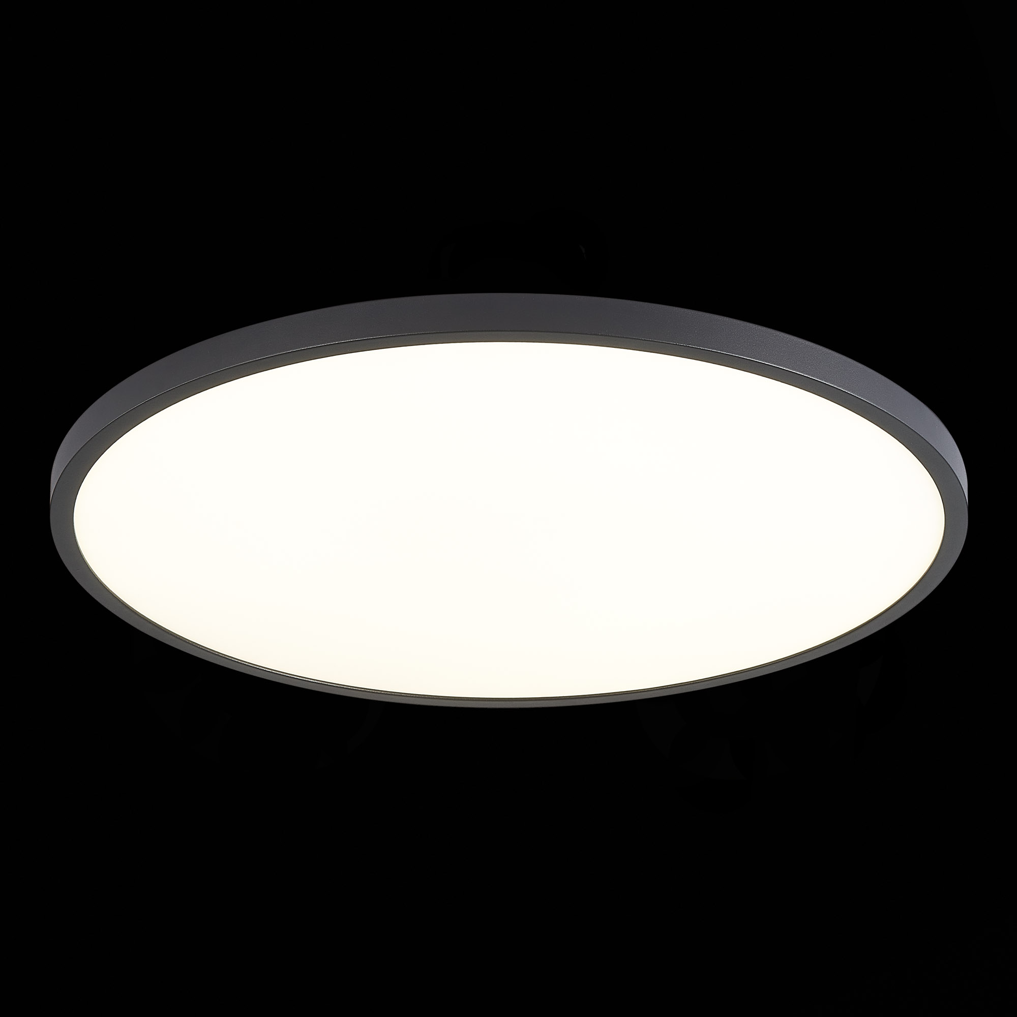 ST601.442.48_01B