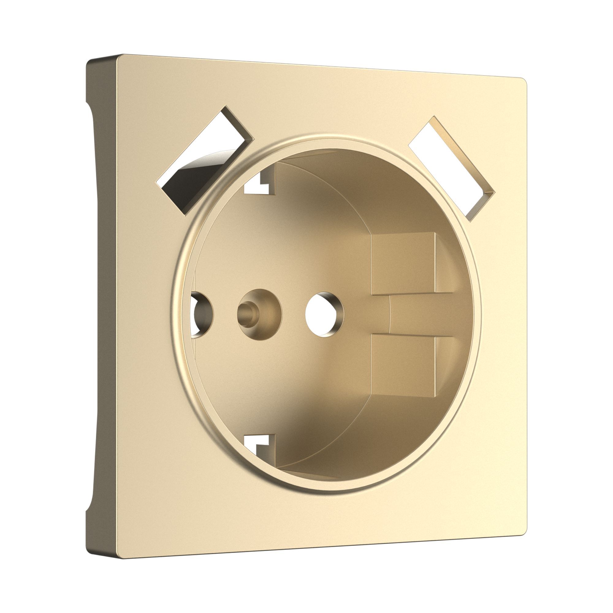 nakladka-dlya-usb-rozetki-shampan-w1179511-a050854-0001