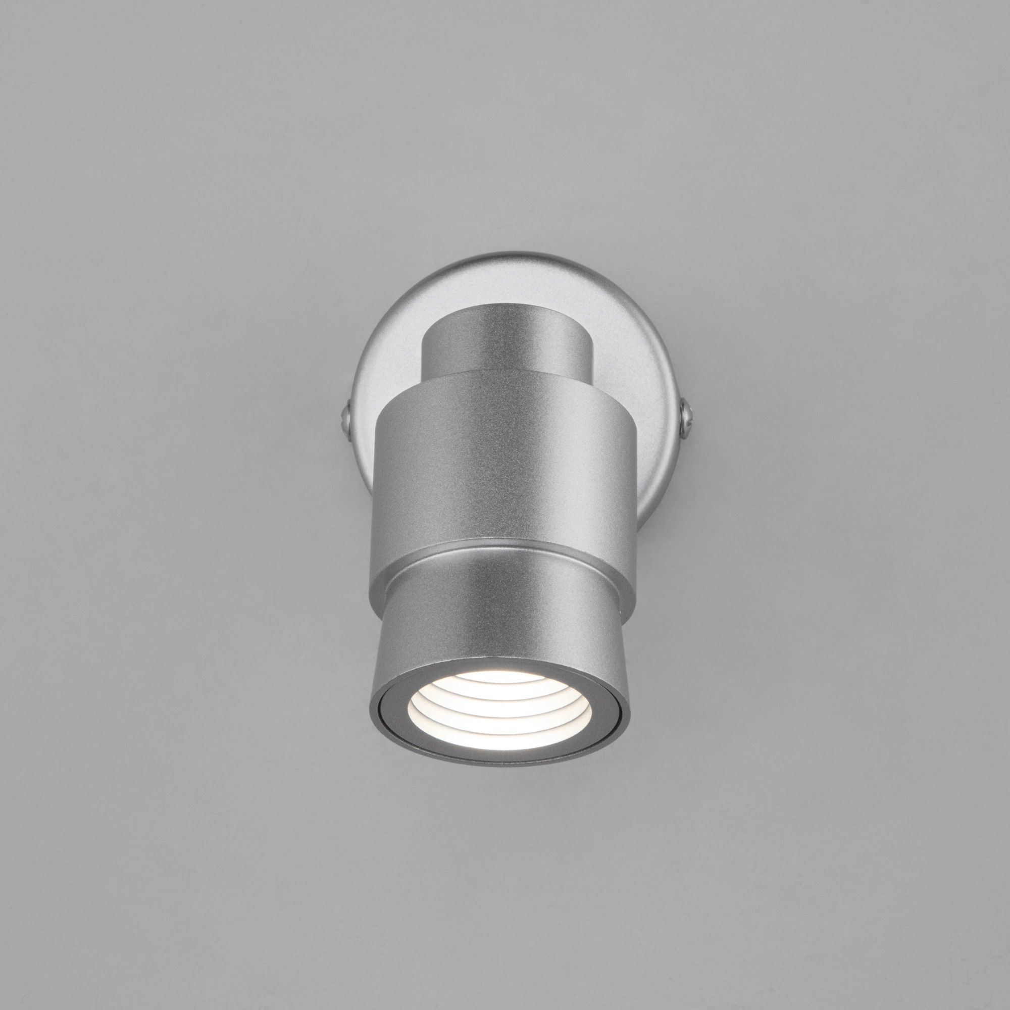 nastennyy-svetodiodnyy-svetilnik-v-stile-loft-20125-1-serebro-a057394-0003