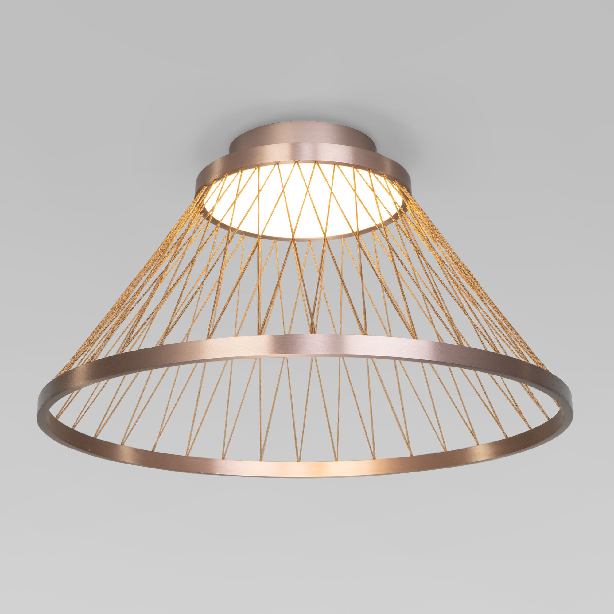 potolochnyy-svetodiodnyy-svetilnik-40019-1-led-korichnevyy-a069291_0001