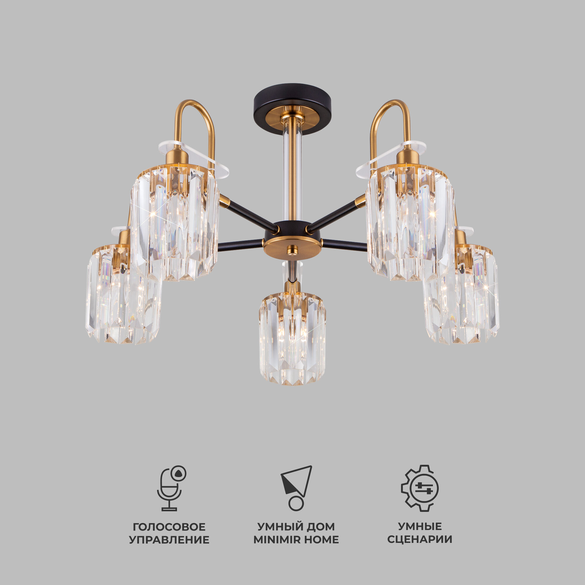 umnaya-potolochnaya-lyustra-s-khrustalem-v-stile-loft-70090-5-chernyy-a045144_0001