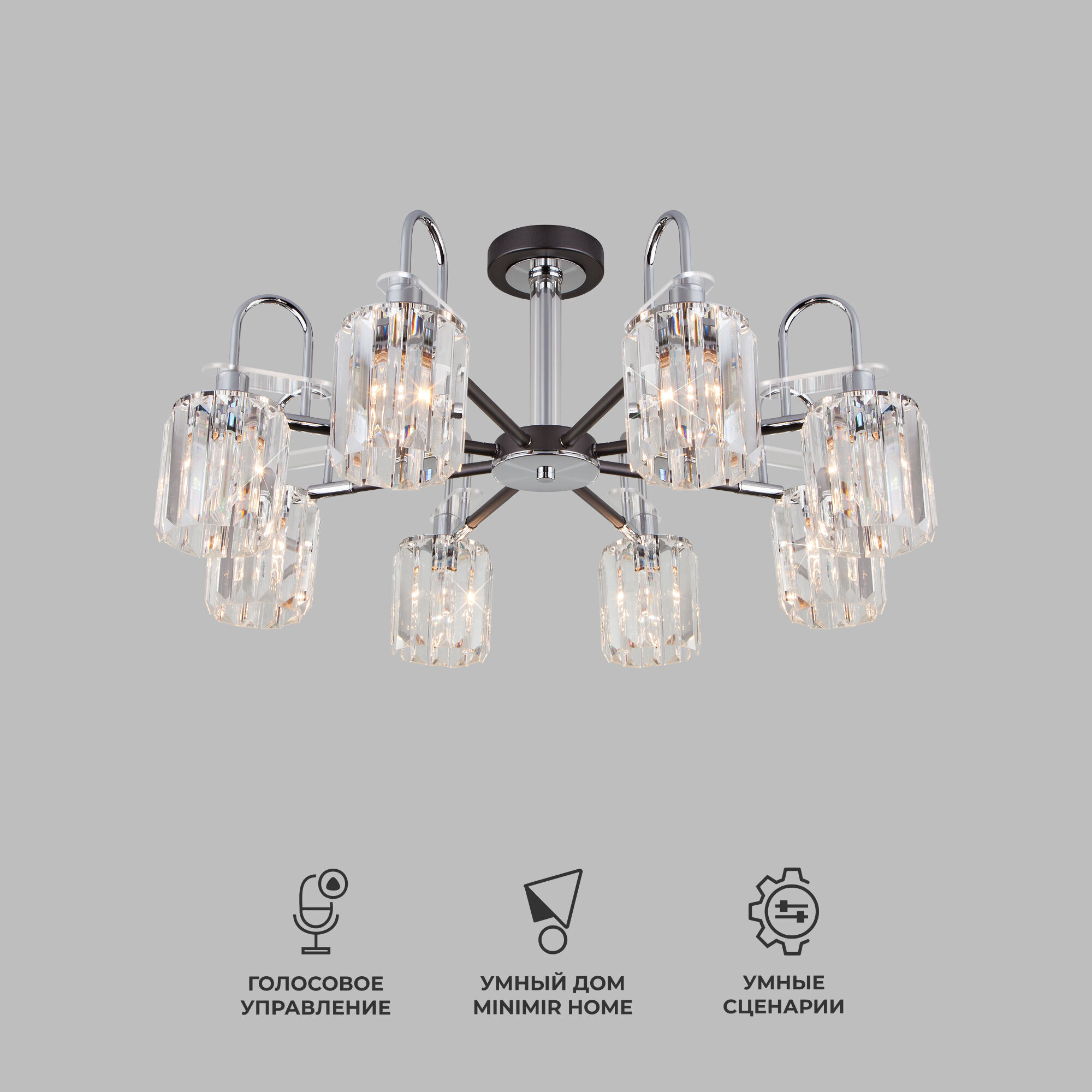 umnaya-potolochnaya-lyustra-s-khrustalem-v-stile-loft-70090-8-grafit-a045142_0001