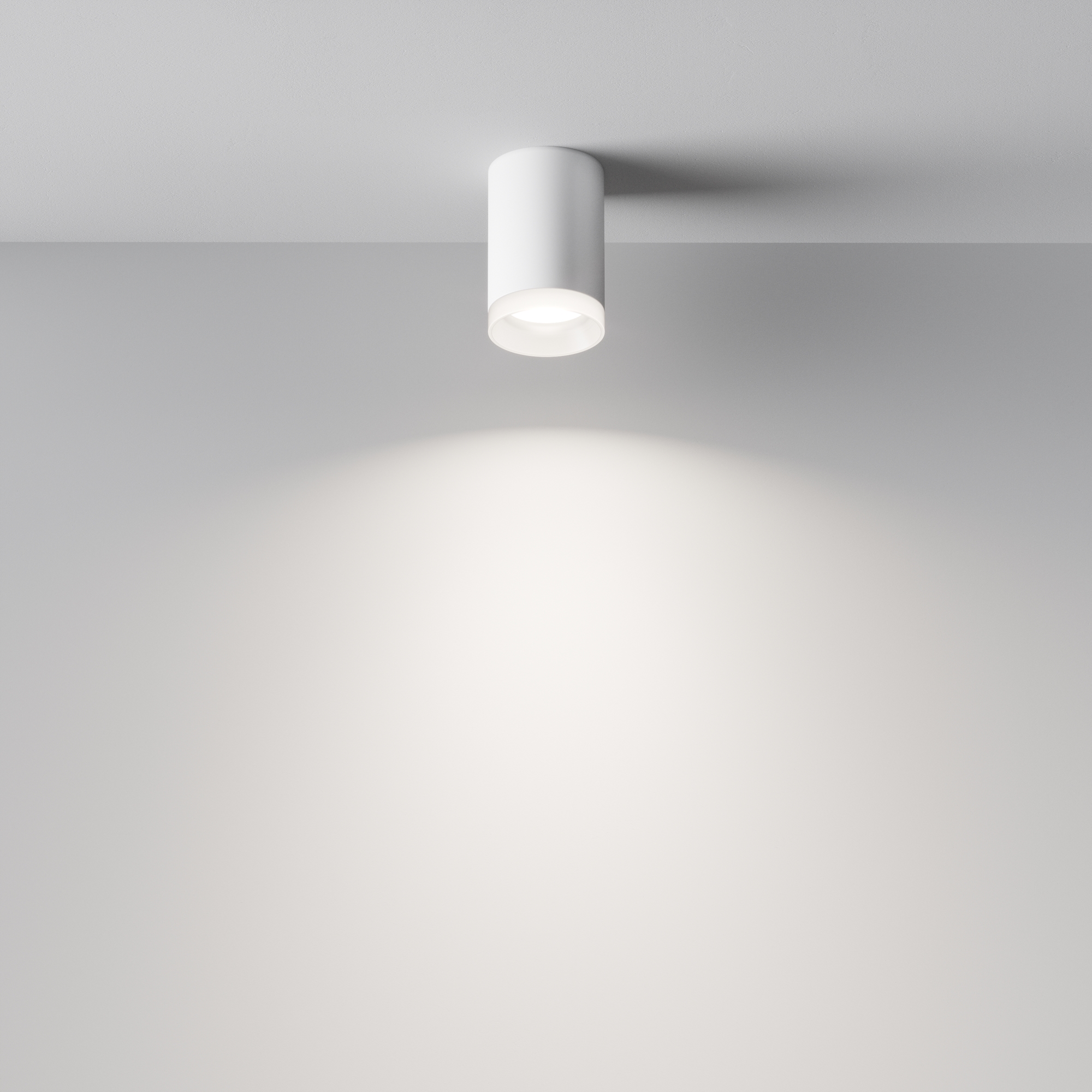 Additional_perspective_C008CW-01W_standard