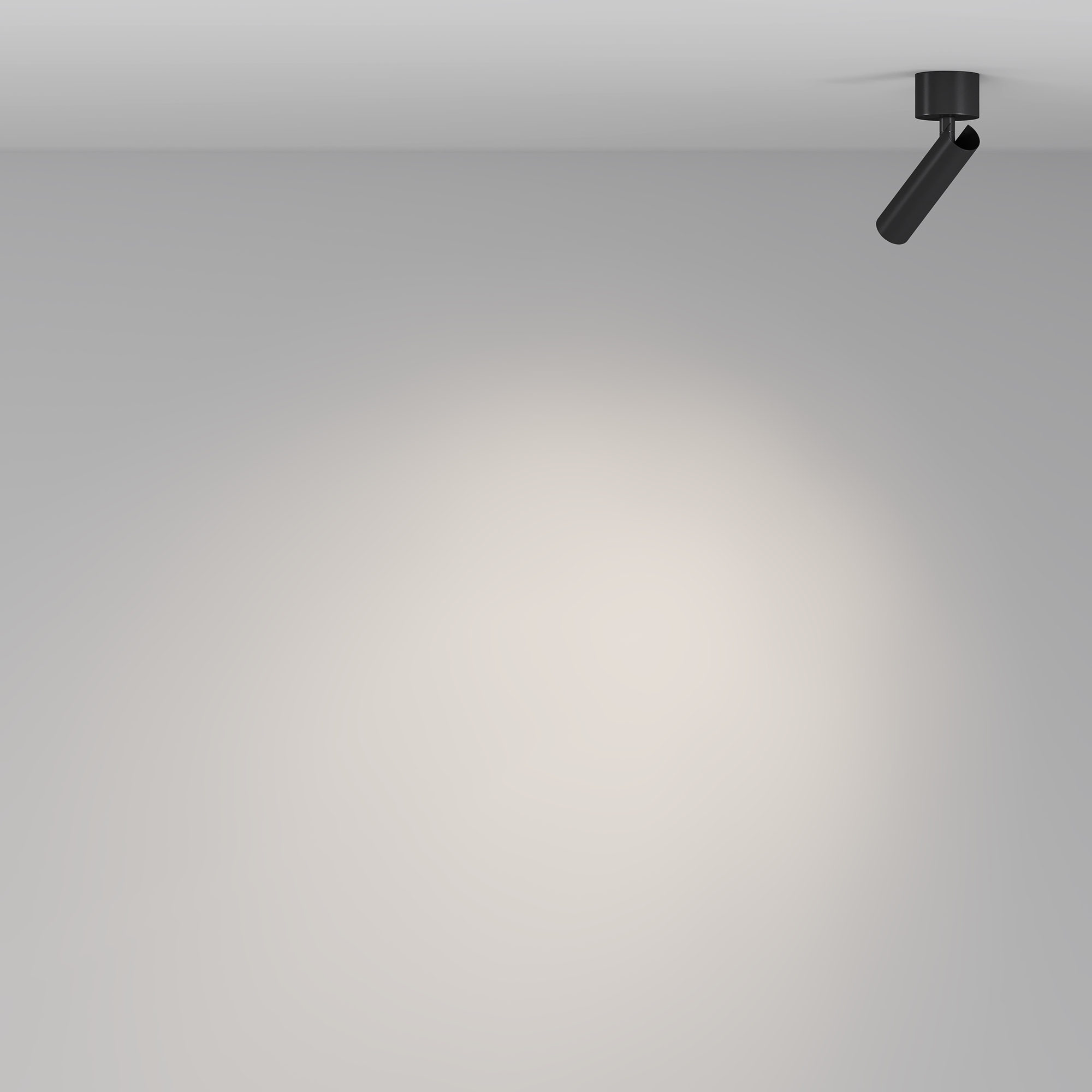 RENDER_Additional_perspective_C141CL-L125-6W4K-B_standard