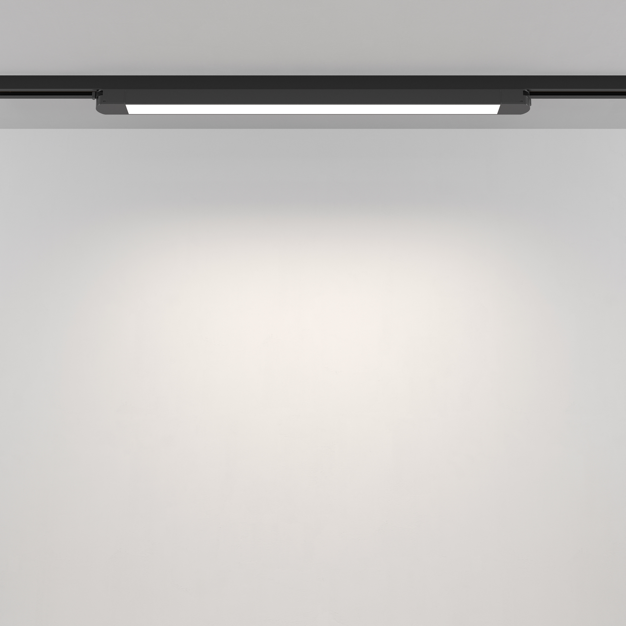 RENDER_Additional_perspective_TR000-1-24W4K-B_1_standard