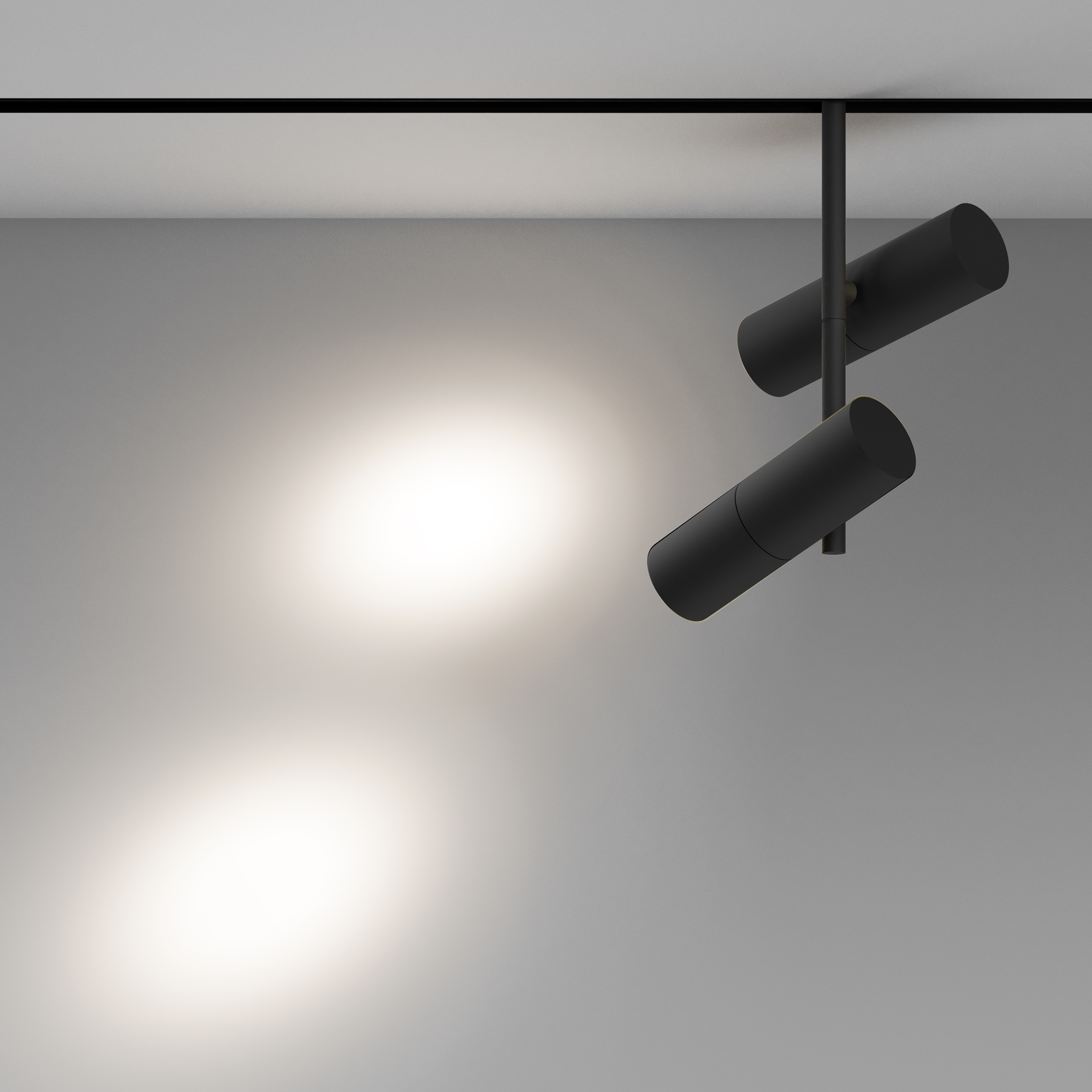 RENDER_Additional_perspective_TR005-2-2X12W4K-B_standard