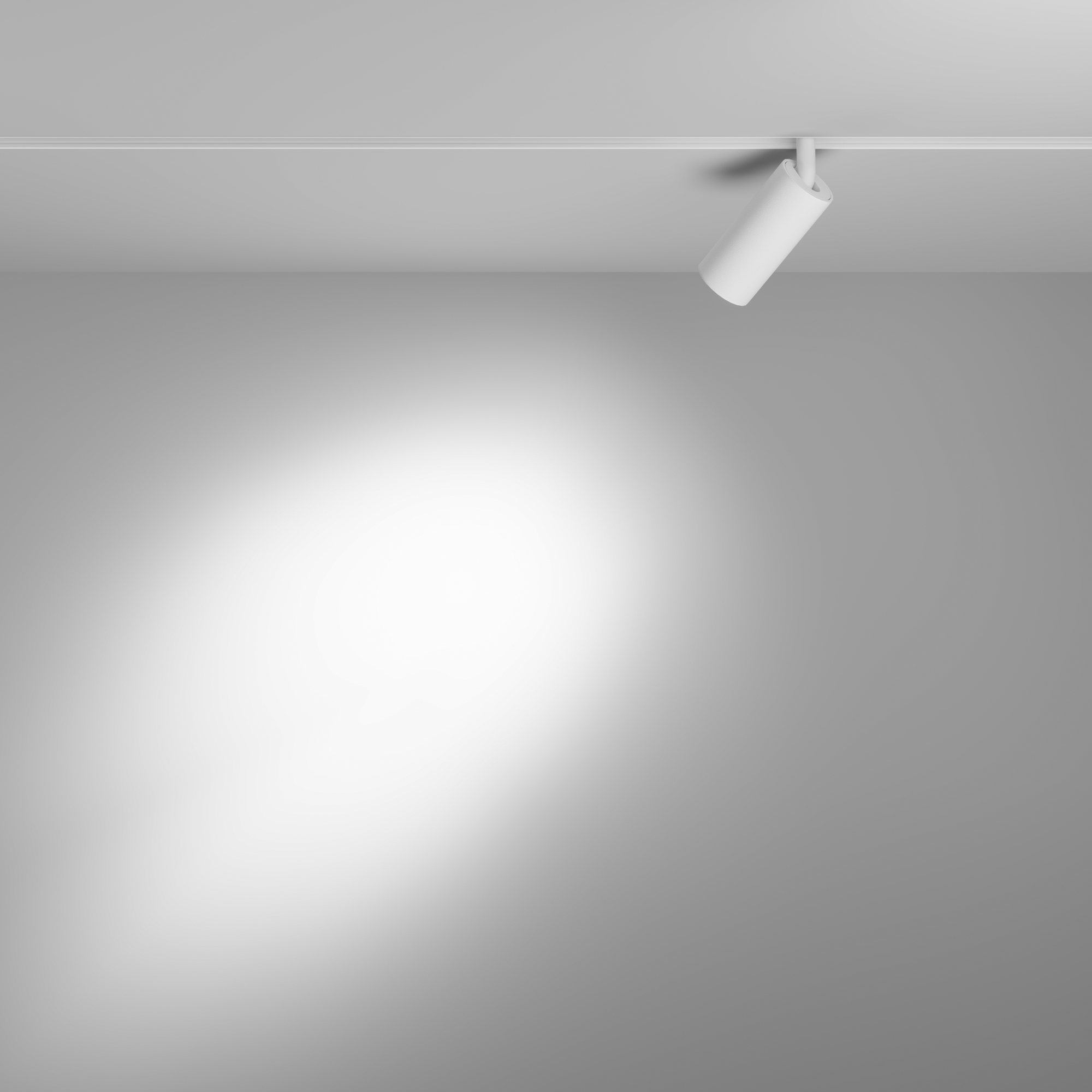 RENDER_Additional_perspective_TR032-4-5WTW-M-DSZ-W_standard