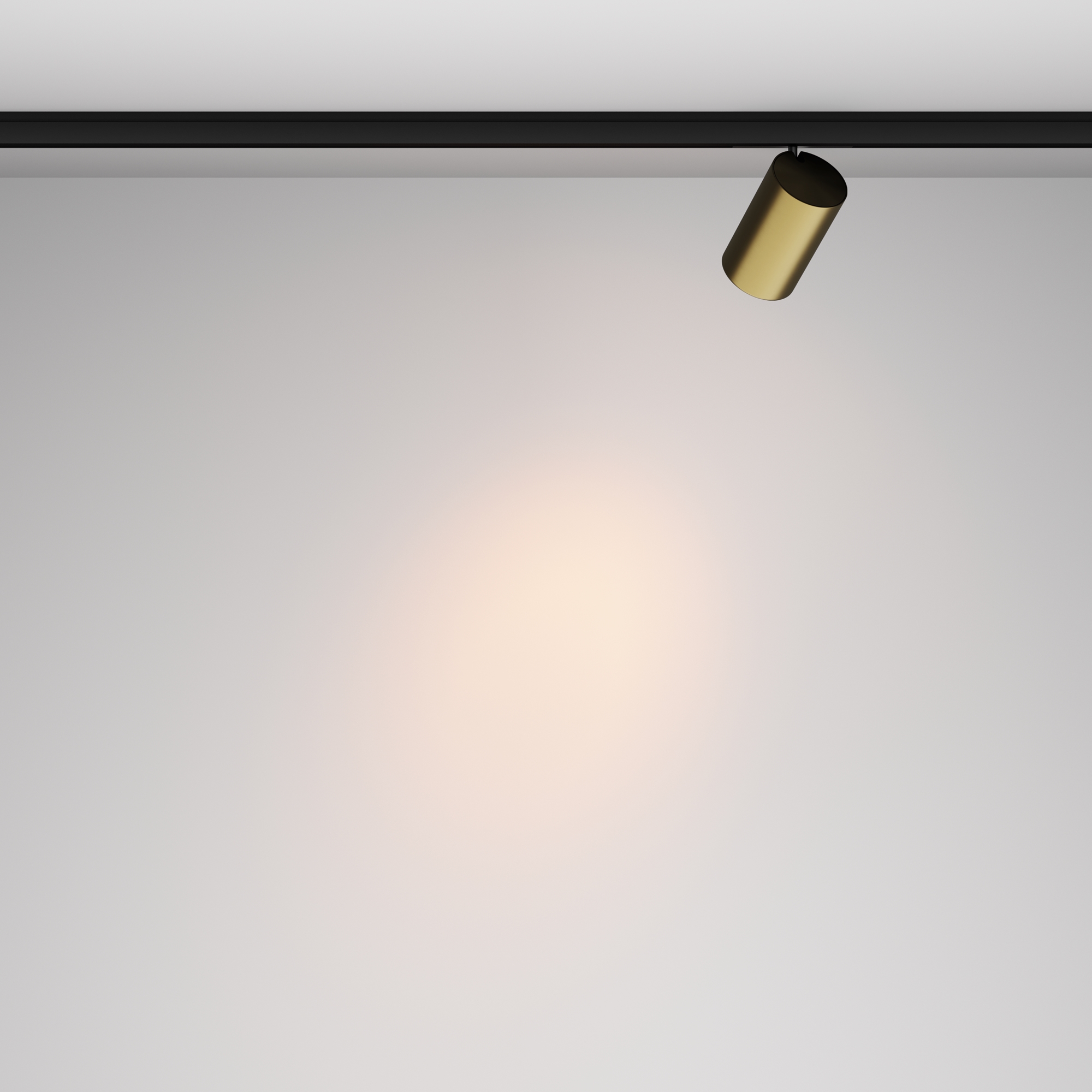 RENDER_Additional_perspective_TR187-1-9W2.7K-M-BBS_standard