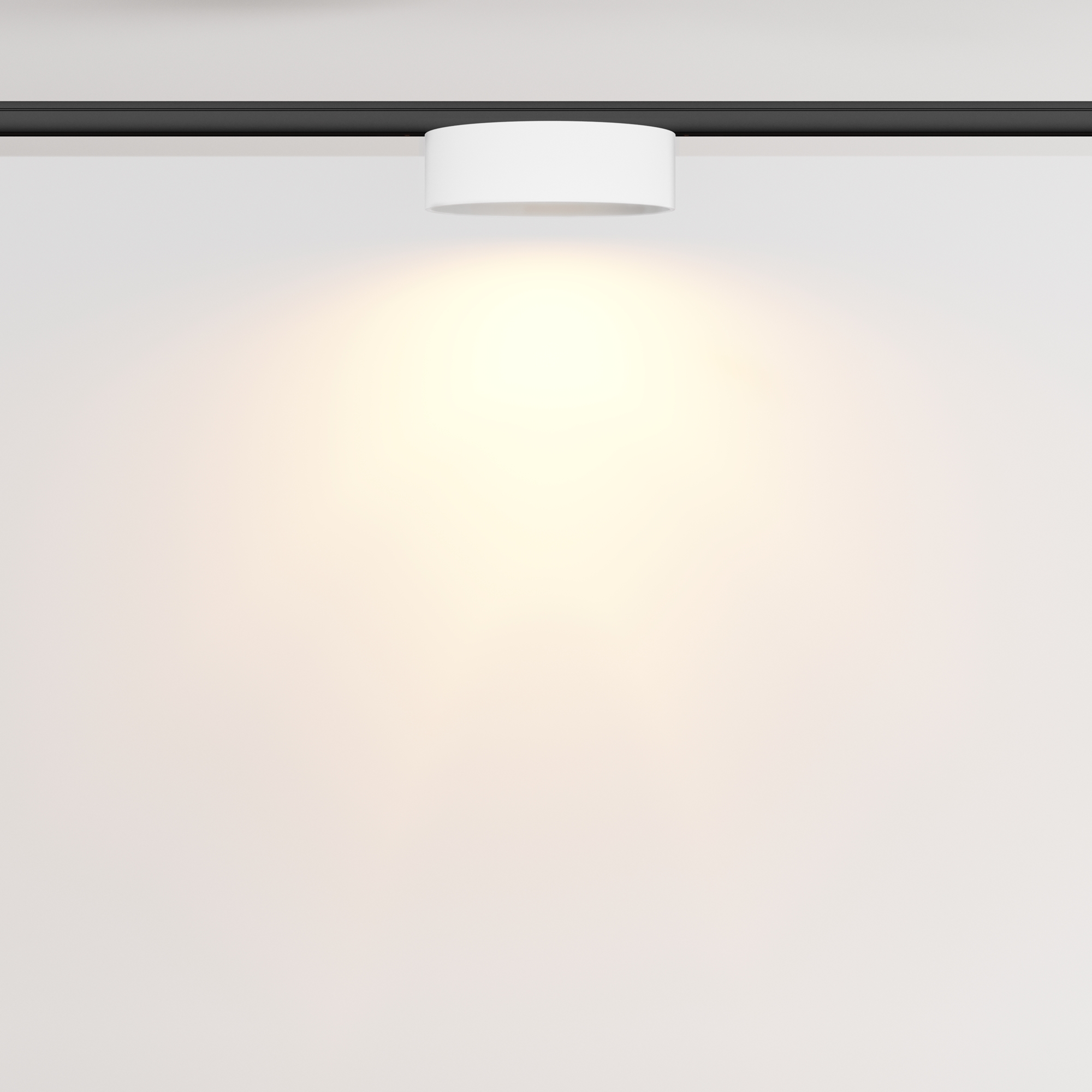 RENDER_Additional_perspective_TR189-1-12W2.7K-BW_standard_1