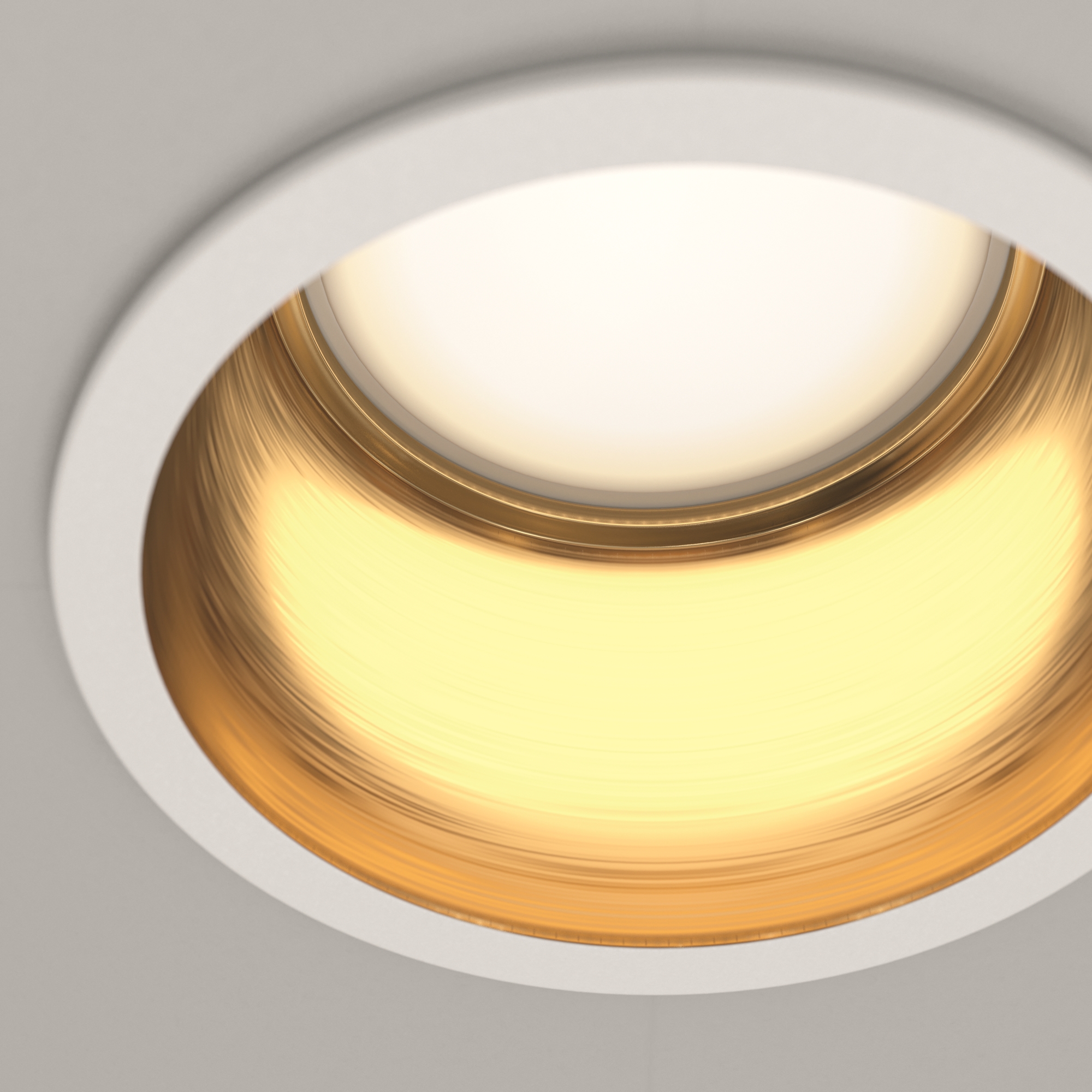 RENDER_CMYK_DL049-01WG_w_standard