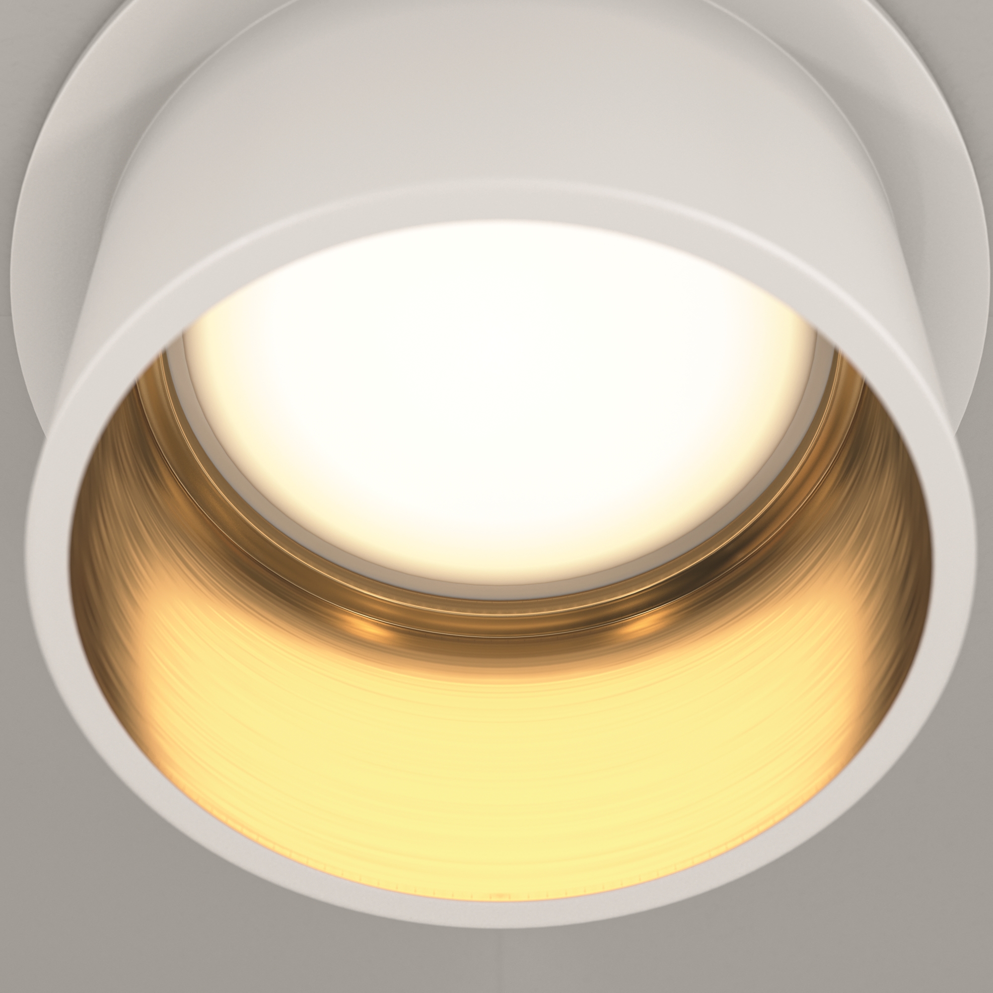 RENDER_CMYK_DL050-01WG_w_standard