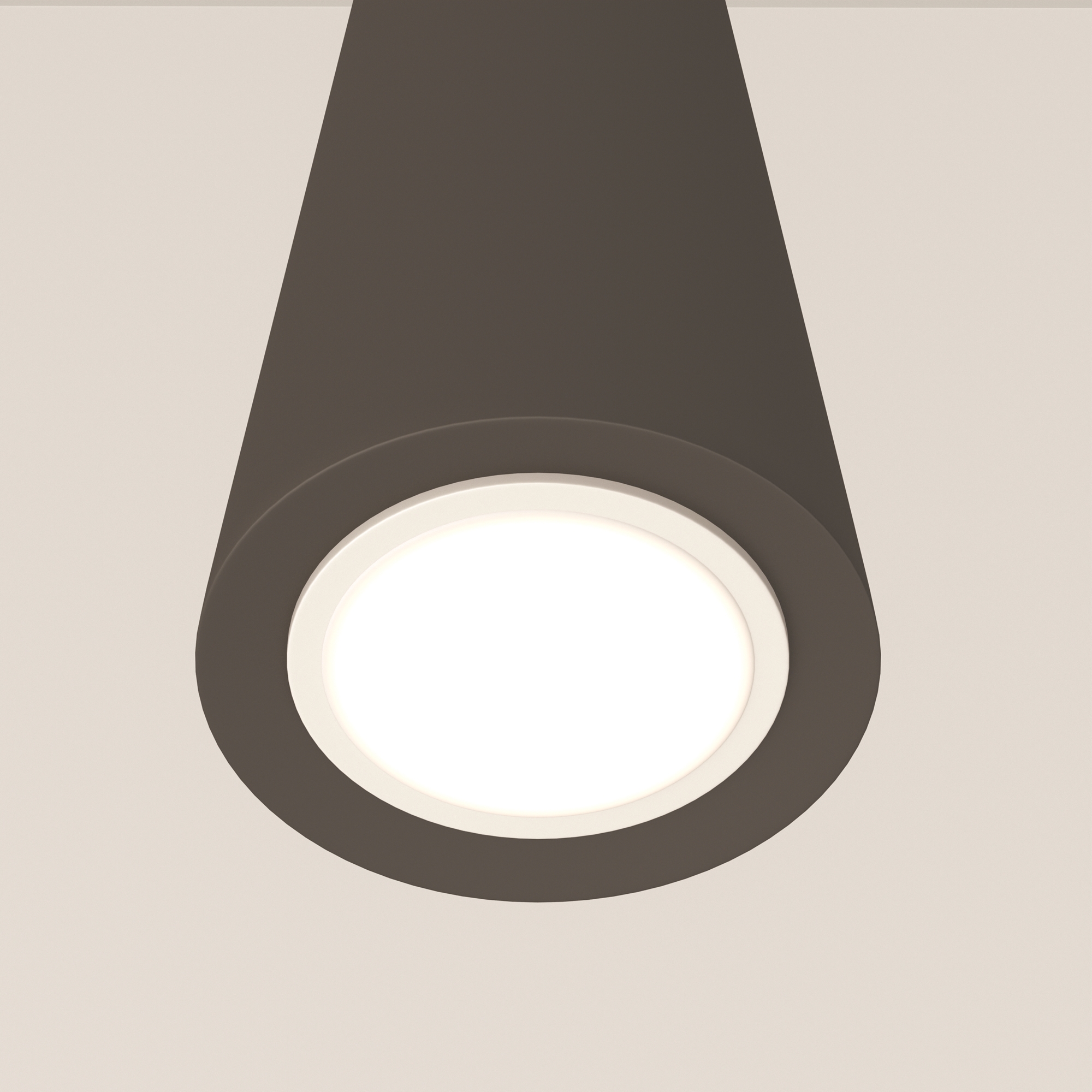 RENDER_CMYK_P318PL-01B_w_standard