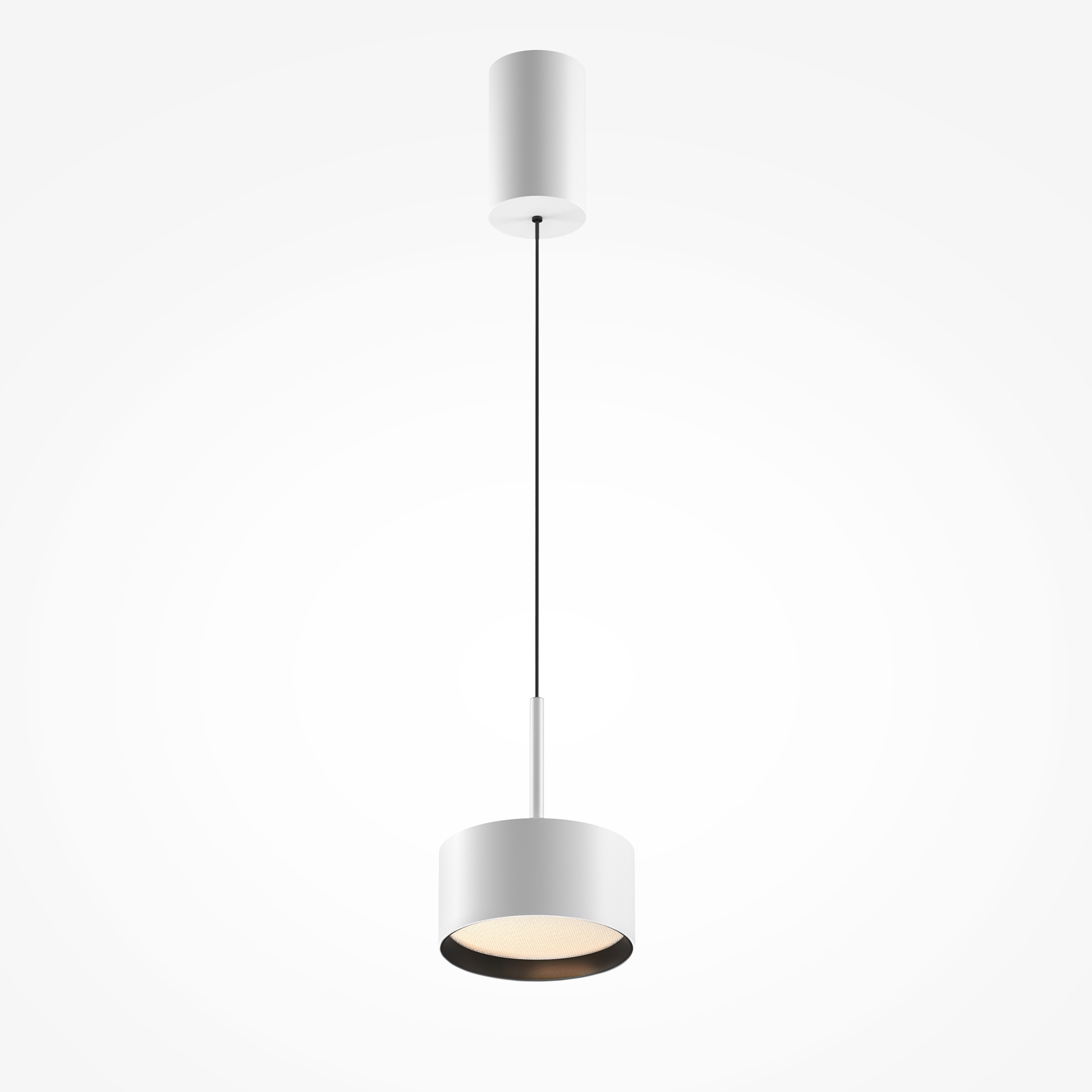 RENDER_Main_Image_P102PL-12W3K-W_standard_2