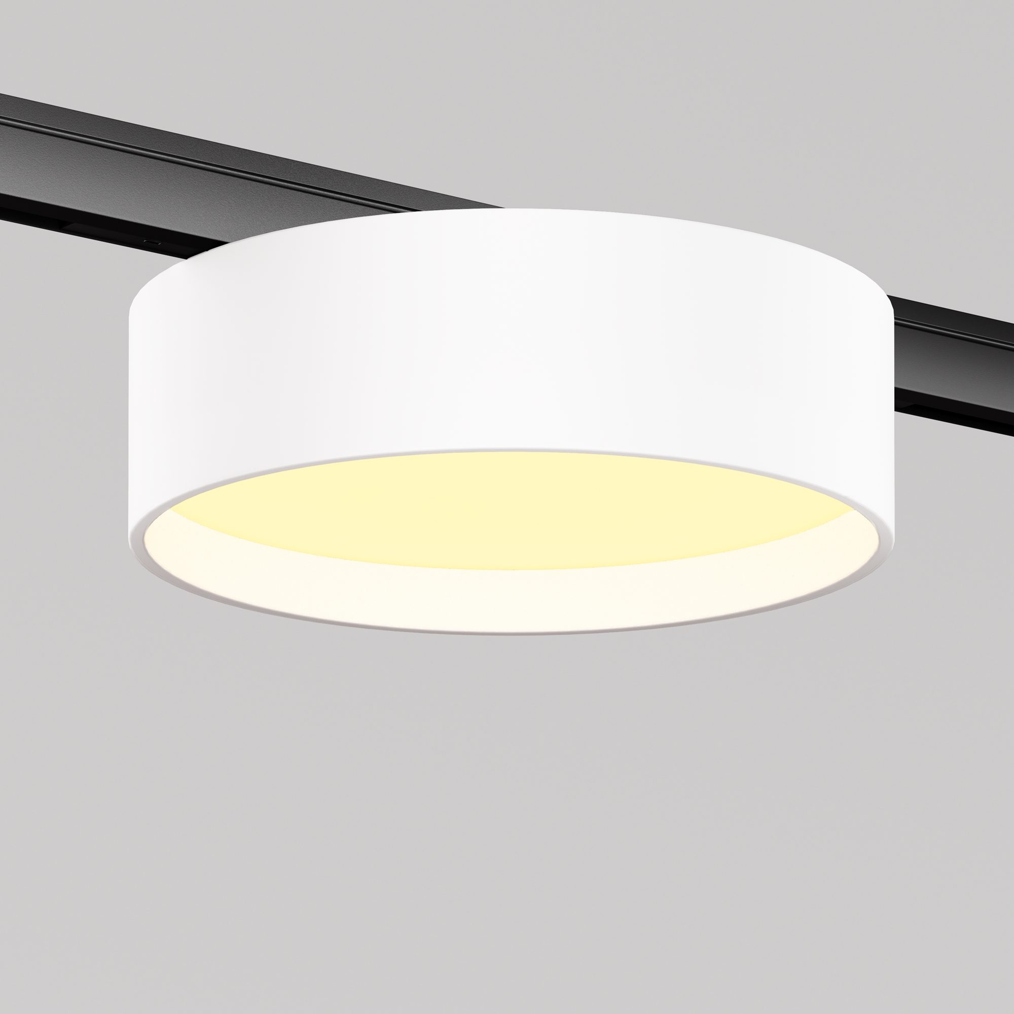 RENDER_Main_Image_TR189-1-12W2.7K-BW_standard