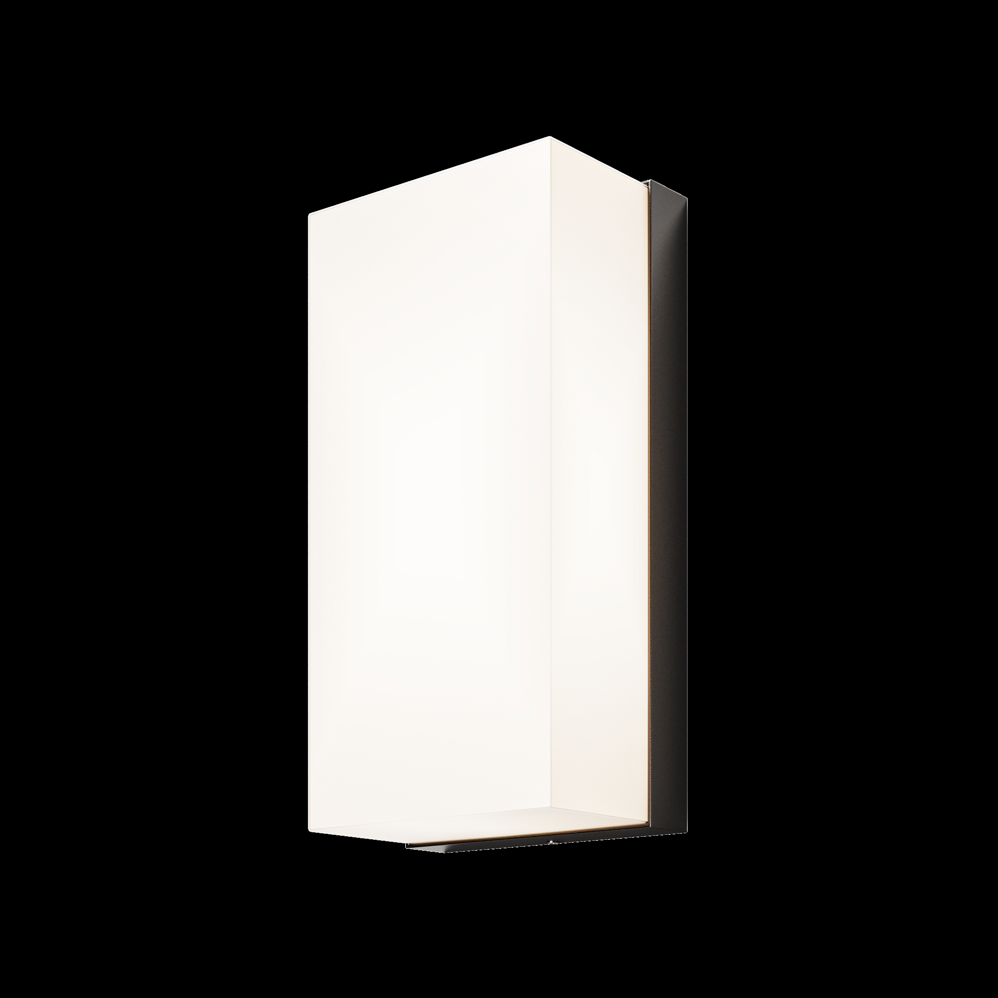 RENDER_Photo_w_alpha_O454WL-L10GF3K_standard