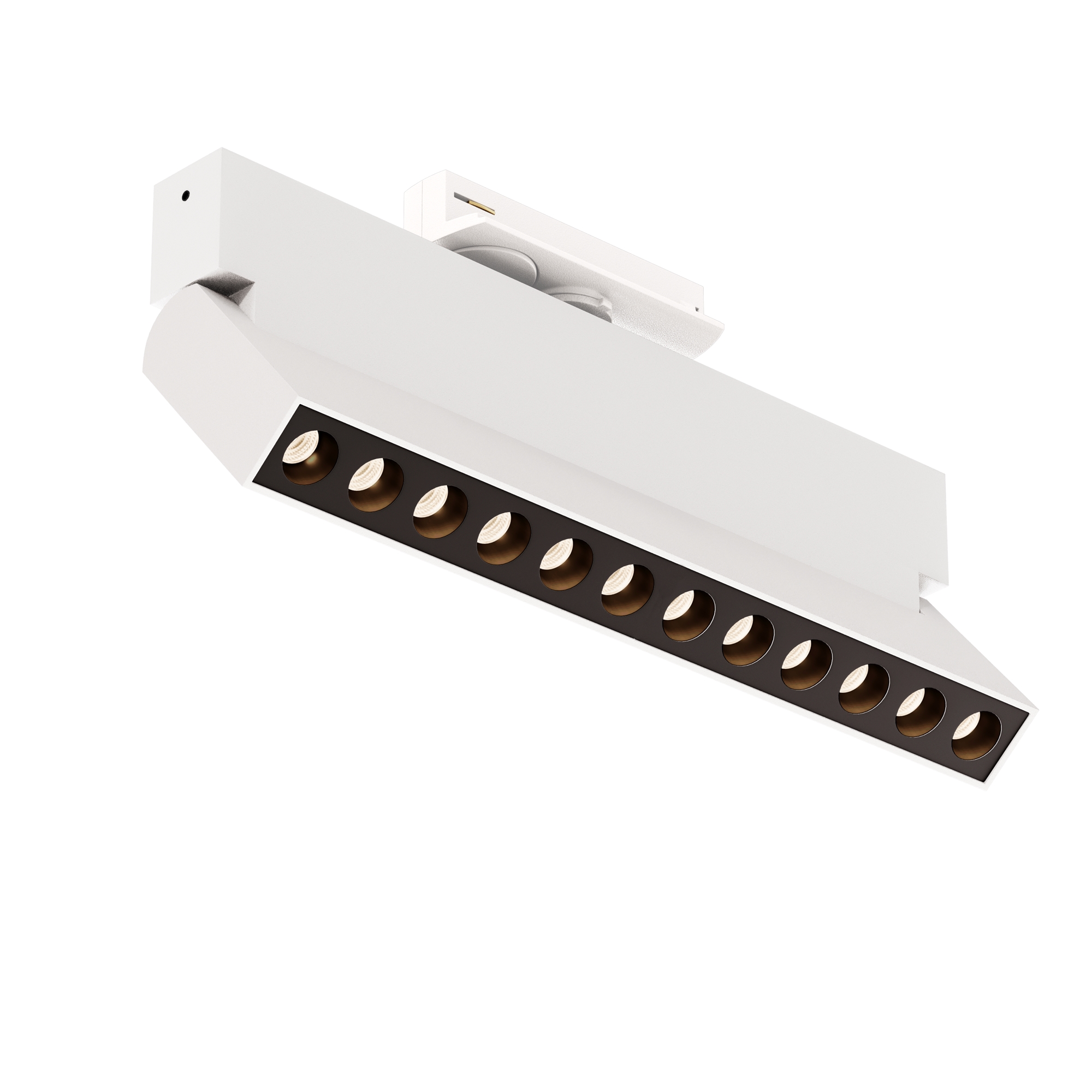 RENDER_TR224-1-12WCCT-M-W_on_w_standard_1