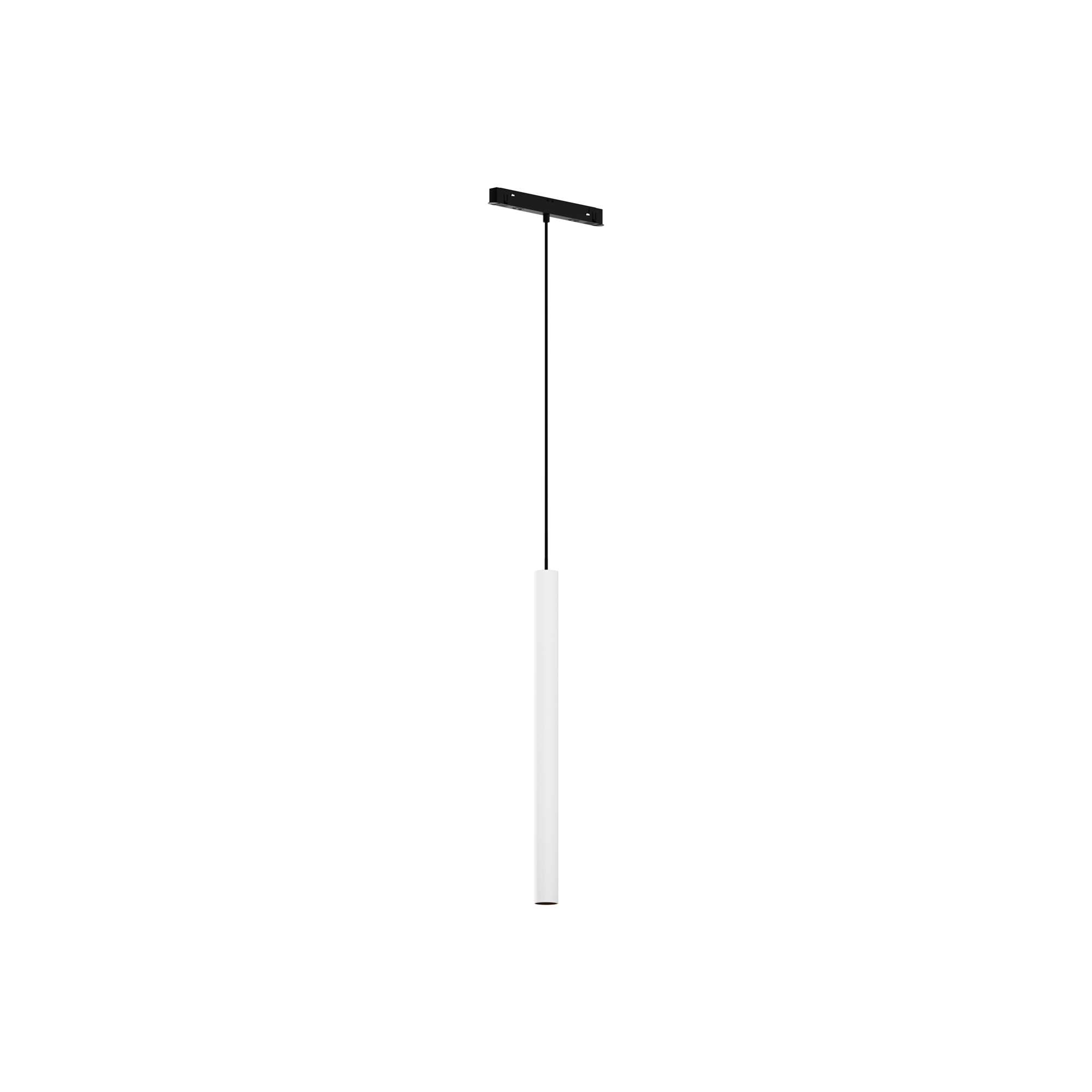 RENDER_TR226-4-5WTW-M-DSZ-W_on_w_standard_1