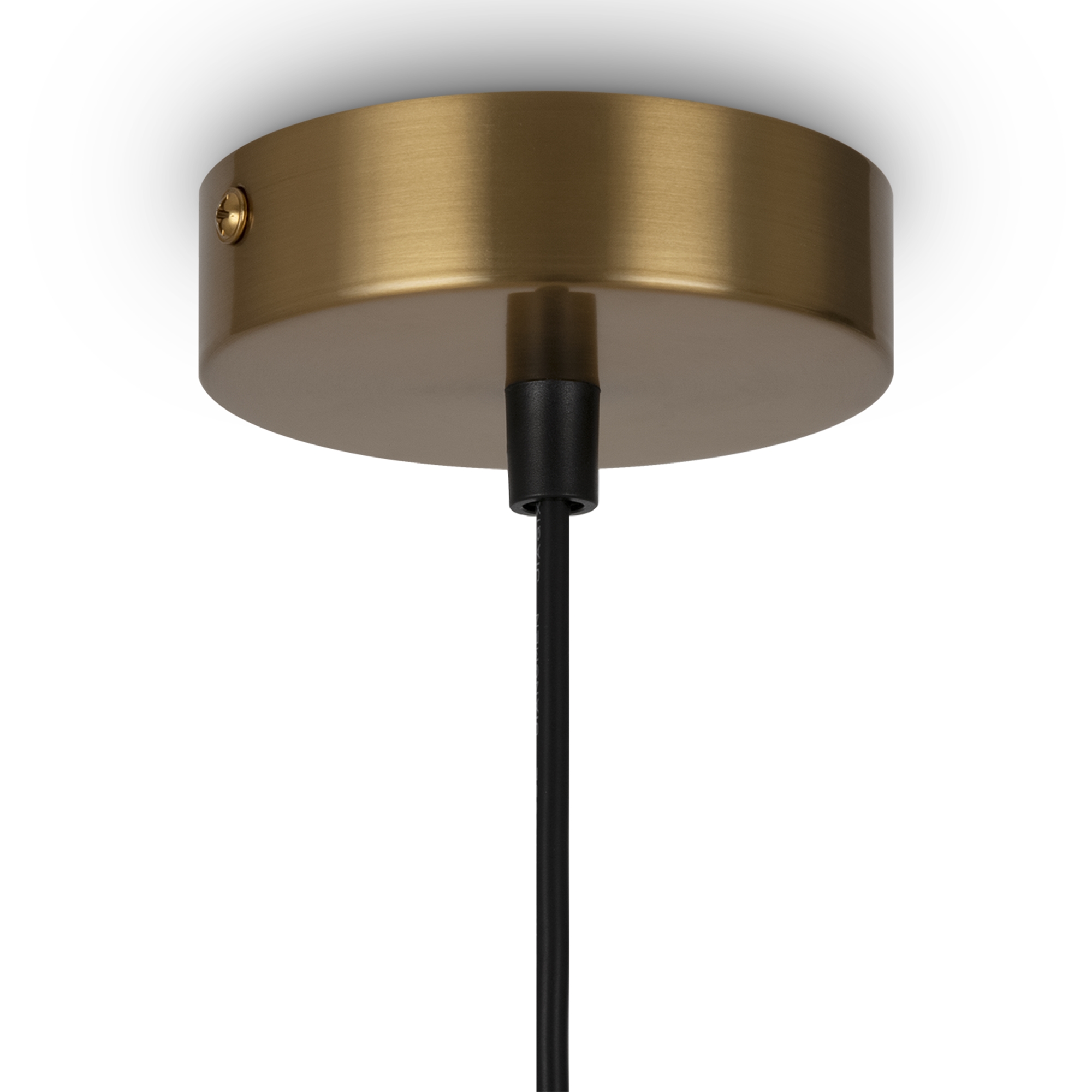RENDER_element_MOD013PL-06BS1_w_standard
